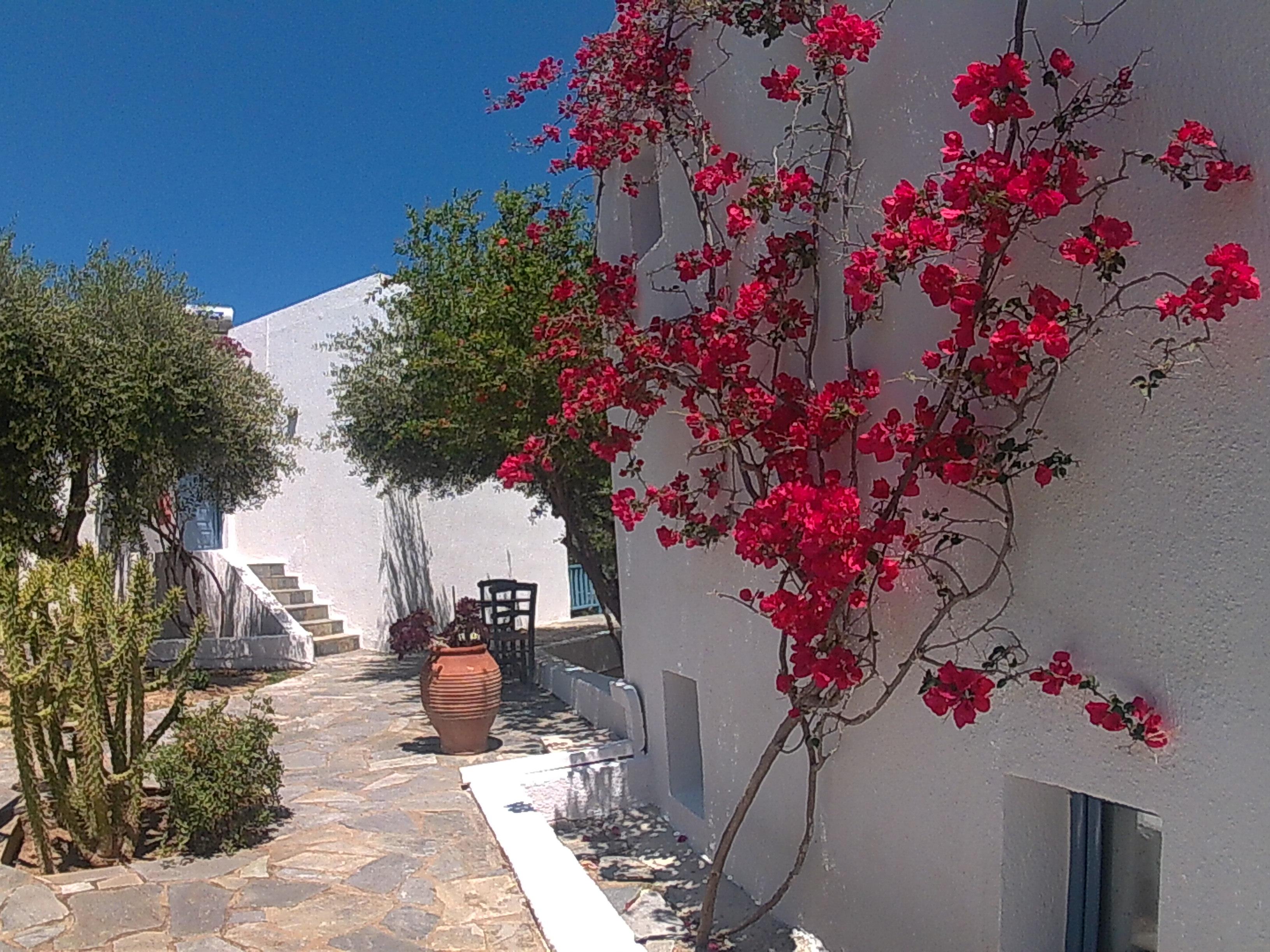 Palatia Village Appart hôtel