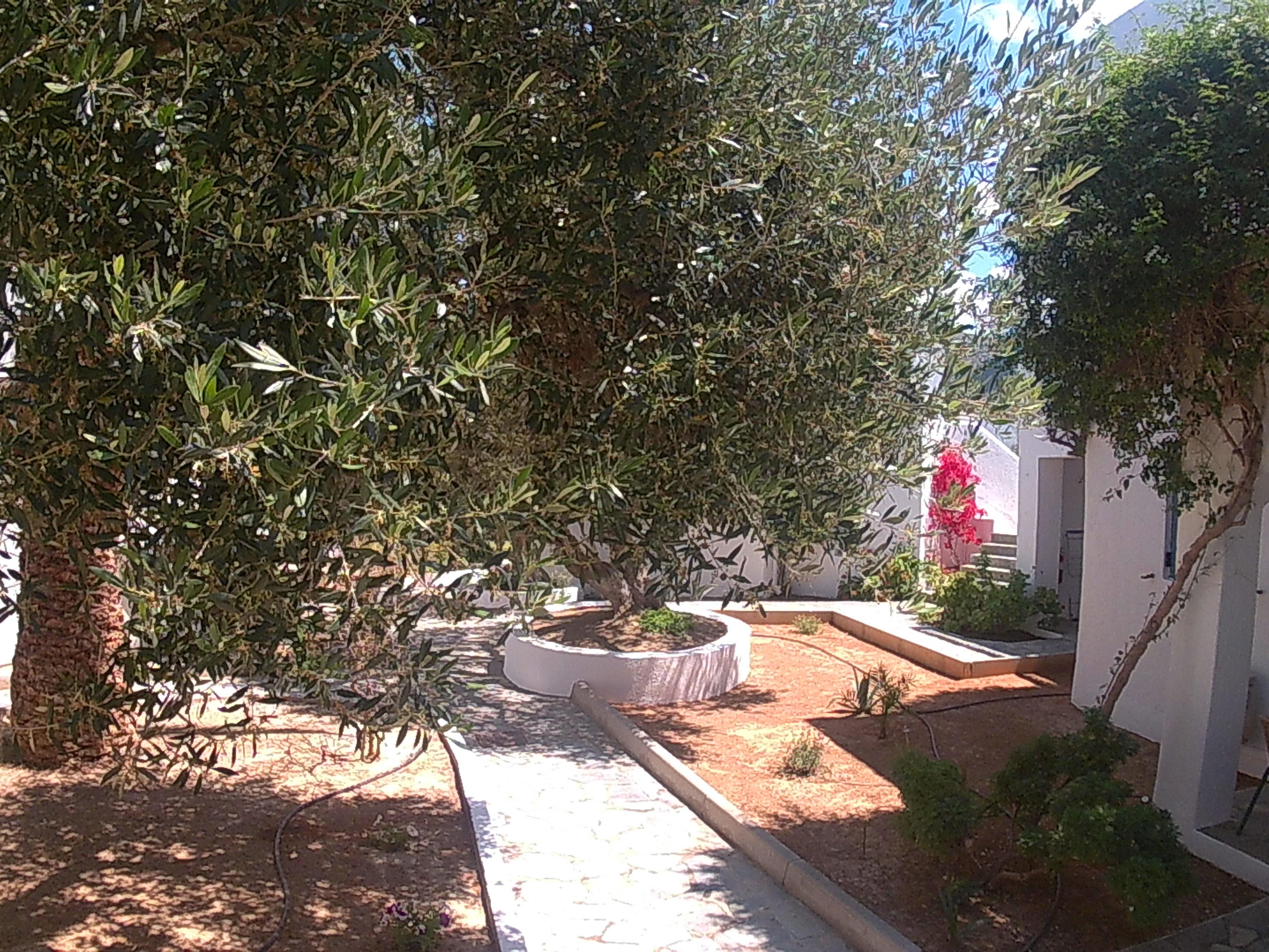 Palatia Village 4* Chersonissos